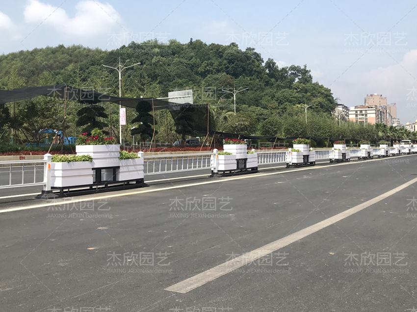 花箱價格，值得好好研究