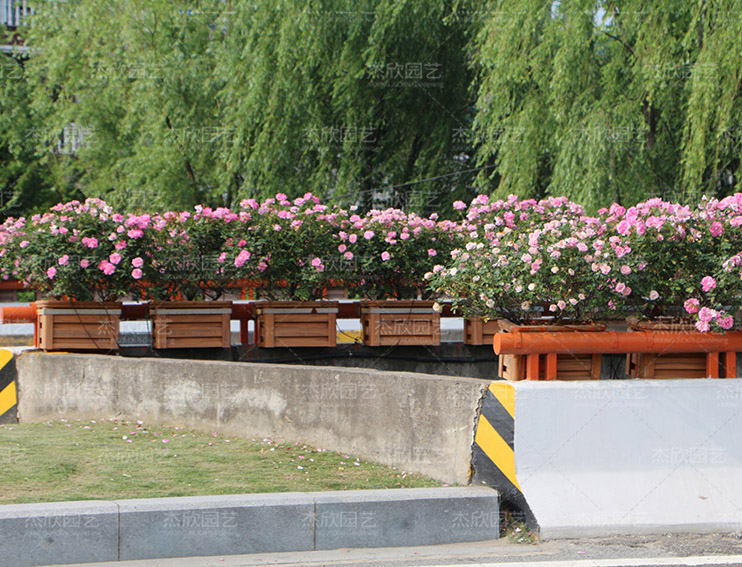 不銹鋼花箱有哪些功能？